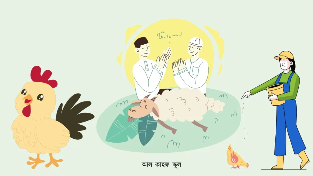 মেয়েরা কি মুরগি জবাই করতে পারবে।