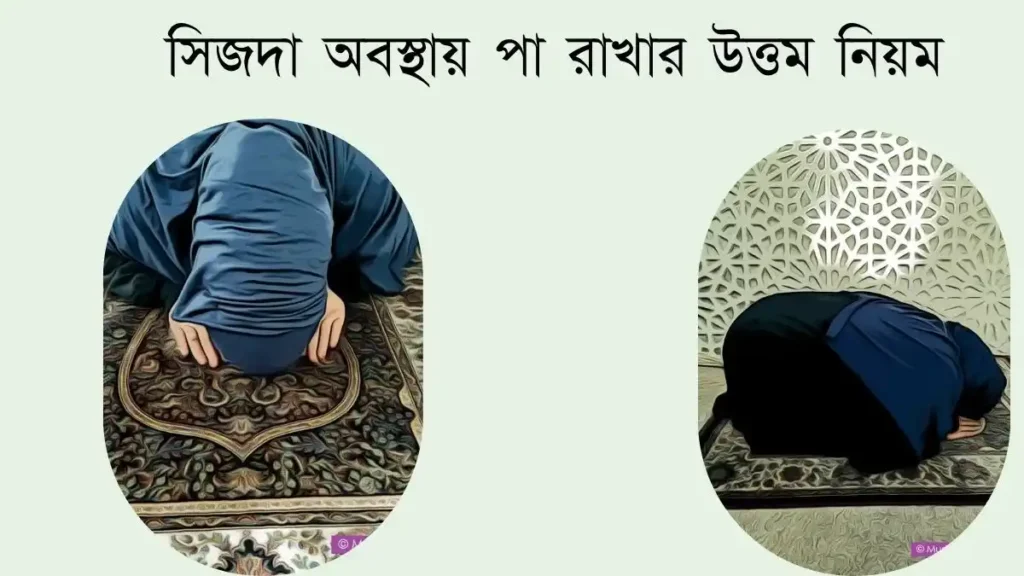 সিজদা অবস্থায়  পা রাখার উত্তম নিয়ম