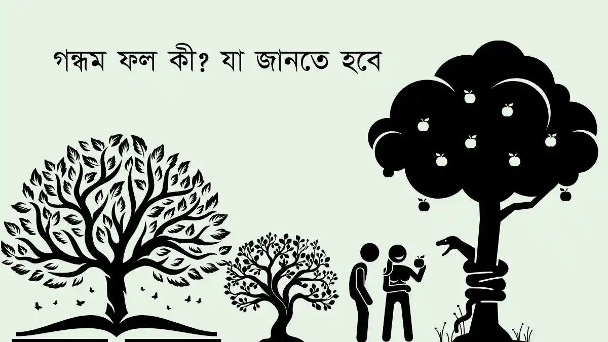 গন্ধম ফল