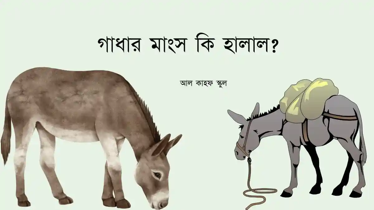 গাধার মাংস কি হালাল