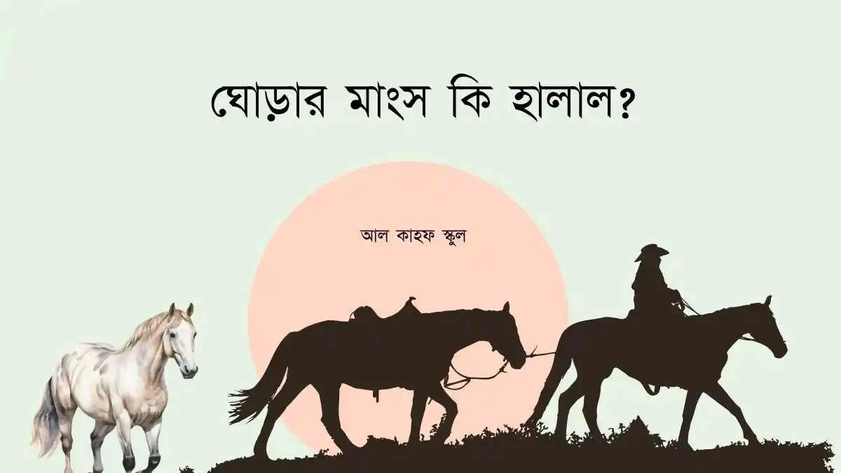 ঘোড়ার মাংস কি হালাল