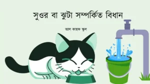 সুওর বা ঝুটা সম্পর্কিত বিধান