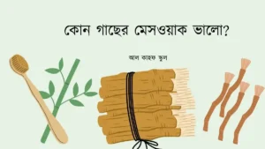 কোন গাছের মেসওয়াক ভালো