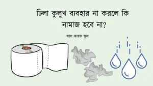 ঢিলা কুলুখ ব্যবহার না করলে কি নামাজ হবে না