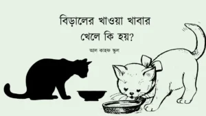 বিড়ালের খাওয়া খাবার খেলে কি হয়