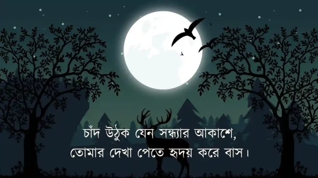 চাঁদ নিয়ে ভালোবাসার ছন্দ